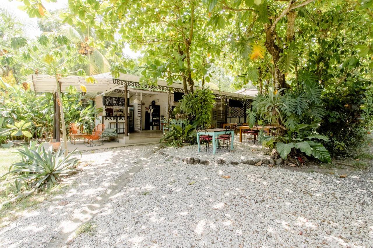 Bajo El Arbol B&B Playa Santa Teresa  외부 사진