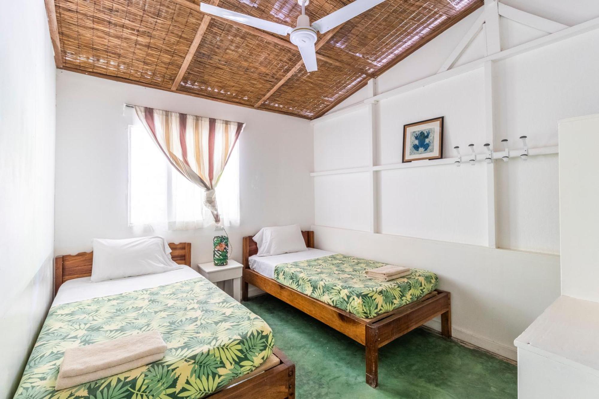 Bajo El Arbol B&B Playa Santa Teresa  외부 사진